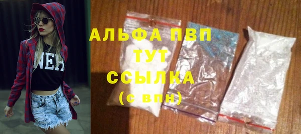 винт Алексин
