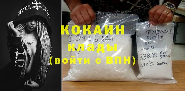 крисы Алзамай